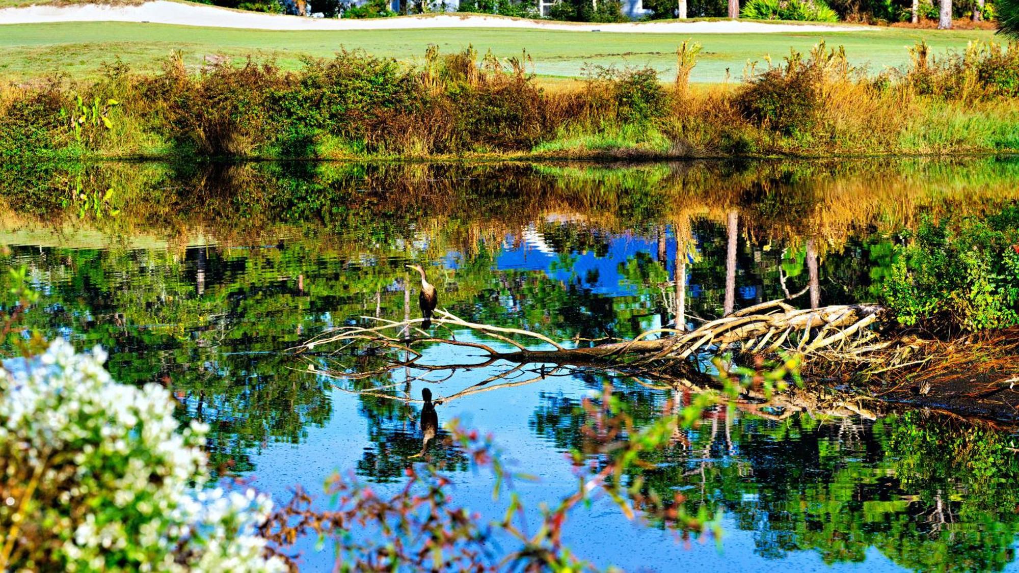 St James Bay Golf & Pickleball Resort Big Blackjack Landing Eksteriør billede